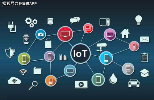 十年饮冰终上位 后浪网红风口热战硝烟起